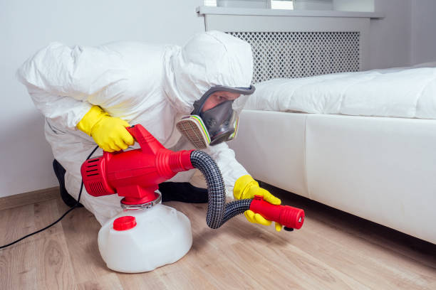 Emergency Pest Control Services in Lowell, NC